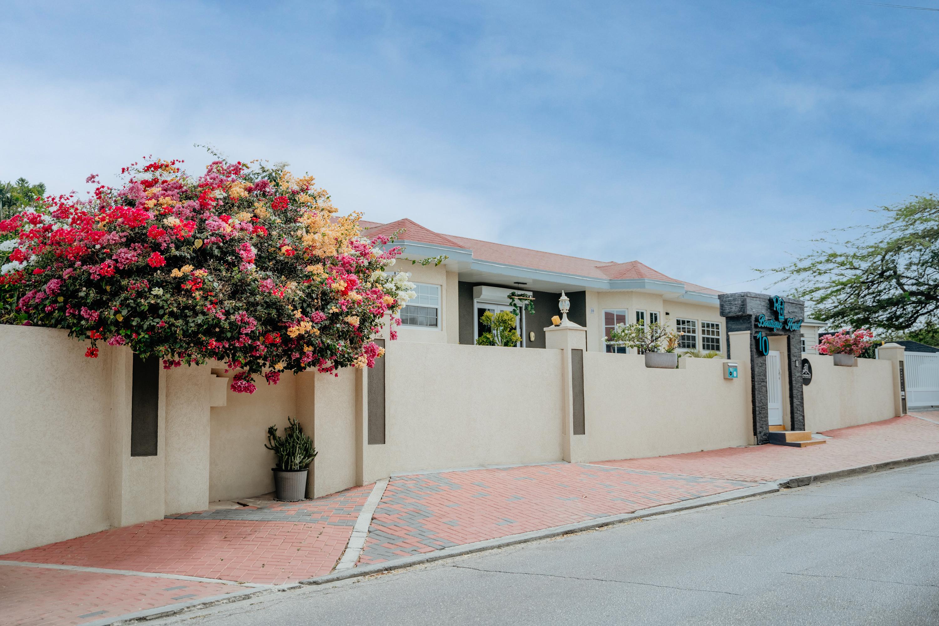 Vista Lobby RH Boutique Hotel Aruba