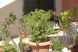 Alojamiento - Iliaktida Apartments