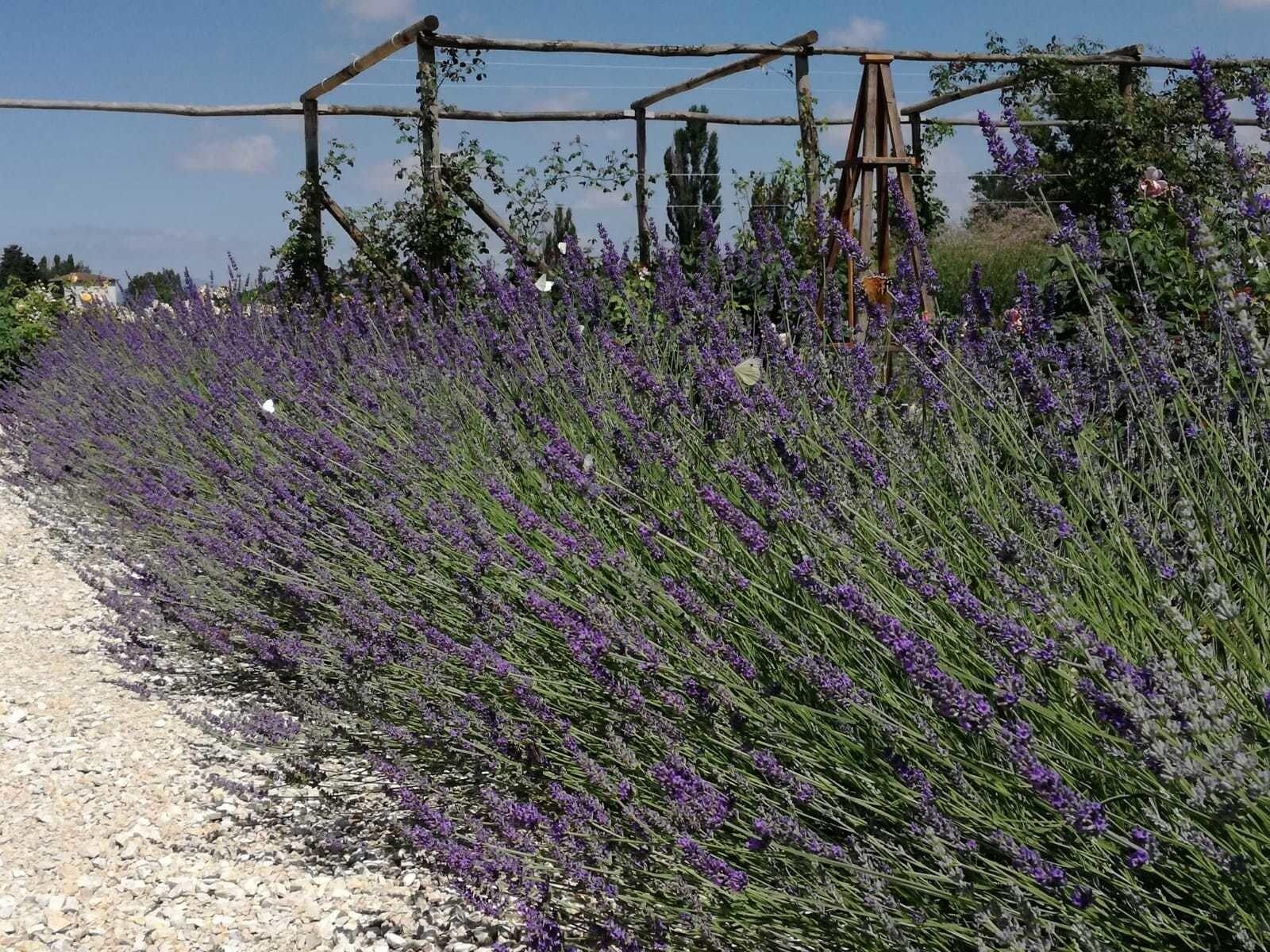 Vista Exterior Il Fienile di Assisi