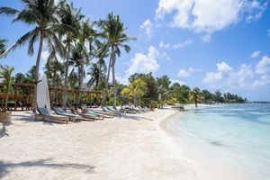 Alojamiento - Mayan Monkey Isla Mujeres | Social Hotel