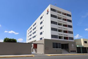 Alojamiento - Comfort Inn San Luis Potosi