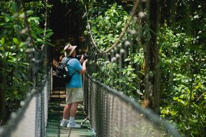 Actividad - Aventura en puentes colgantes de San Luis desde San José
