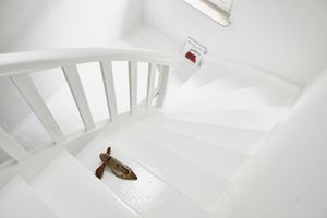 Alquiler Vacacional - Schuhmacherei Rooms