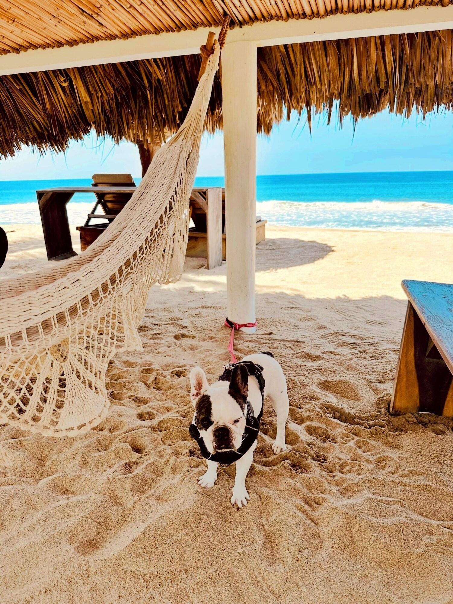 Playa Hotel Boutique Punta Jamaica