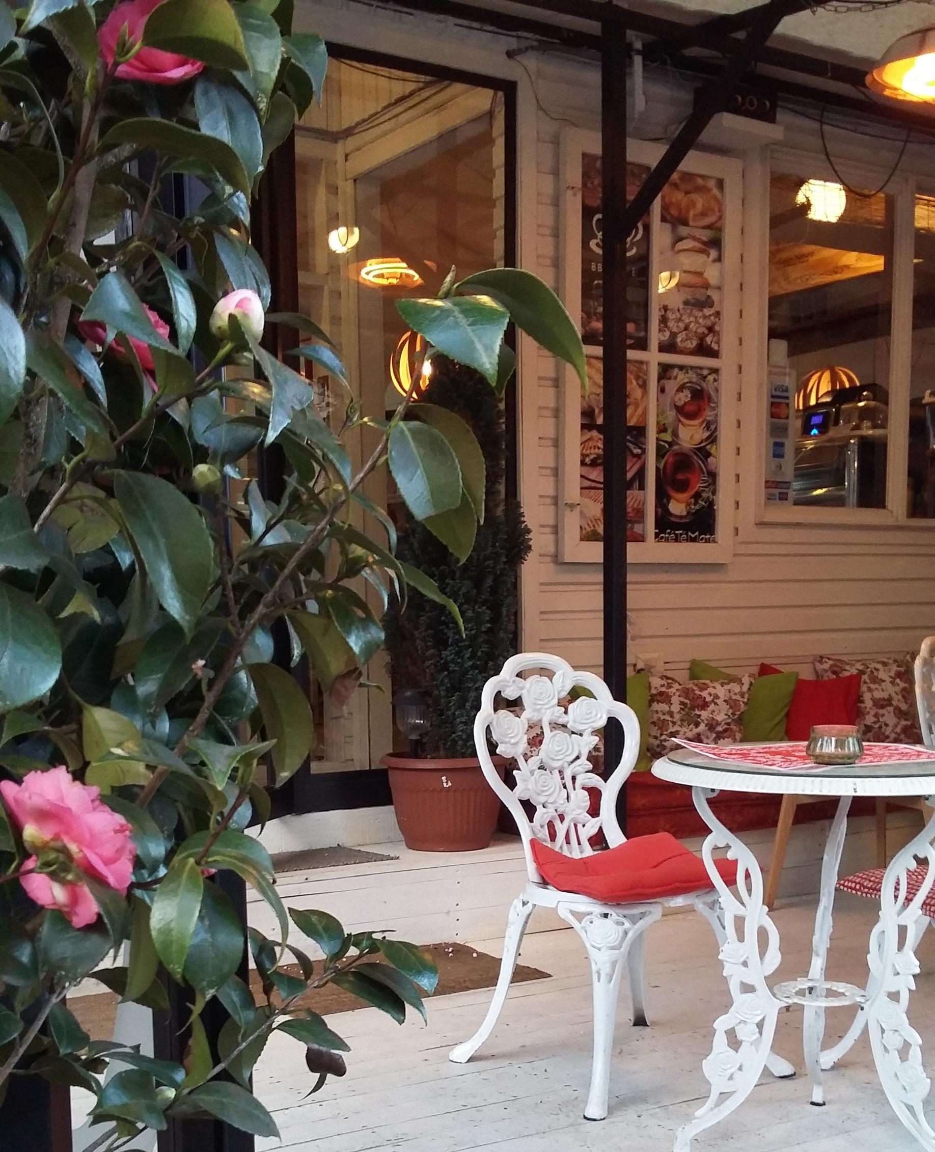 Varios Hostal B&B Concepción