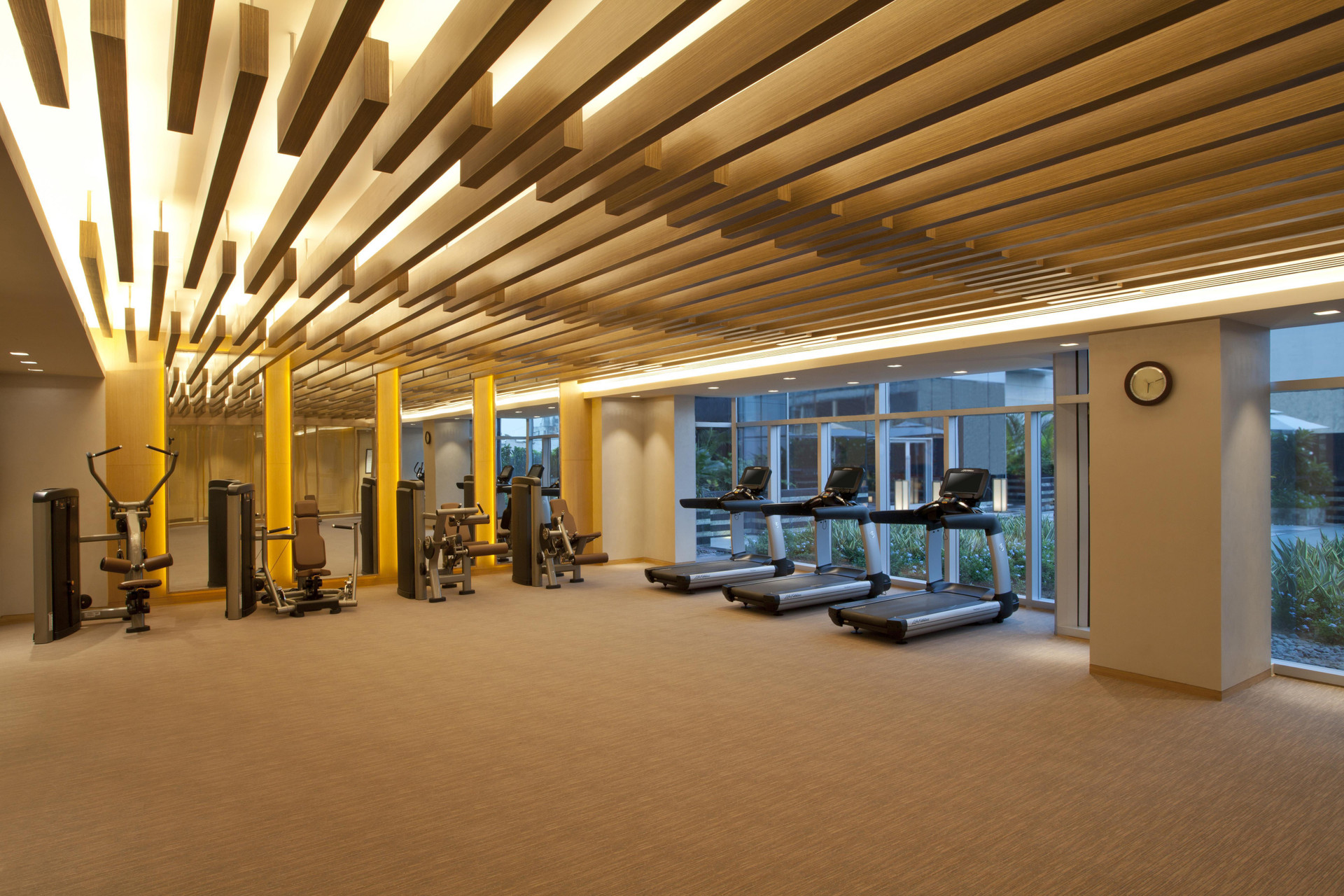 Gimnasio Hyatt Regency Ahmedabad