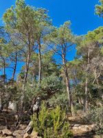 Alquiler Vacacional - Cozy sea apartment on mountain