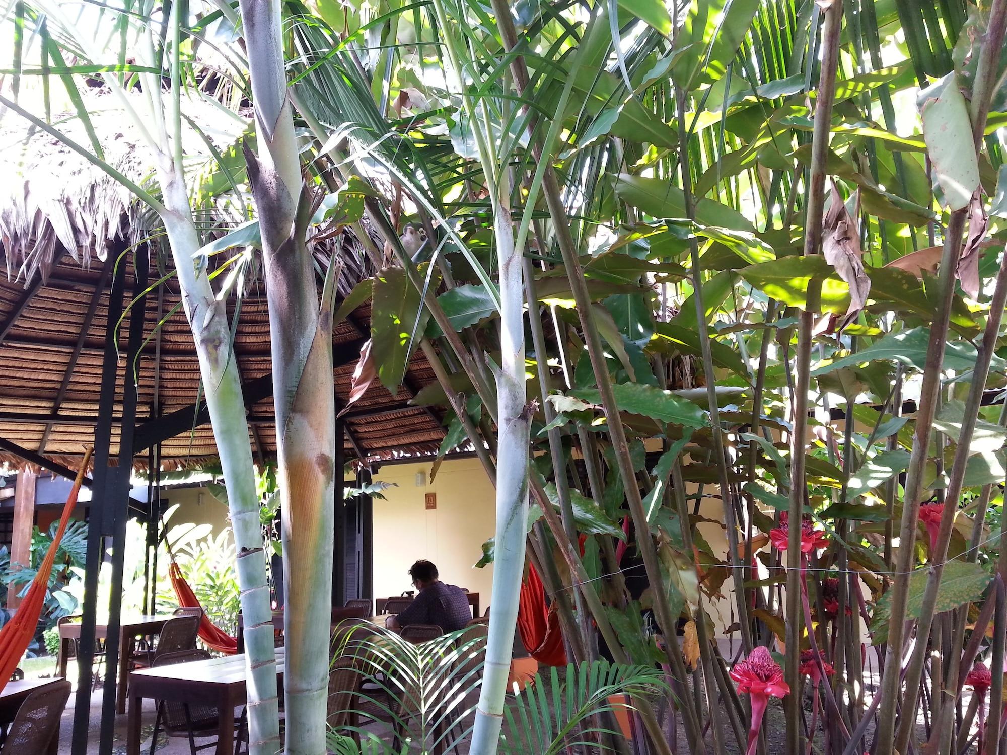 Restaurant Hotel Amazon Bed & Breakfast