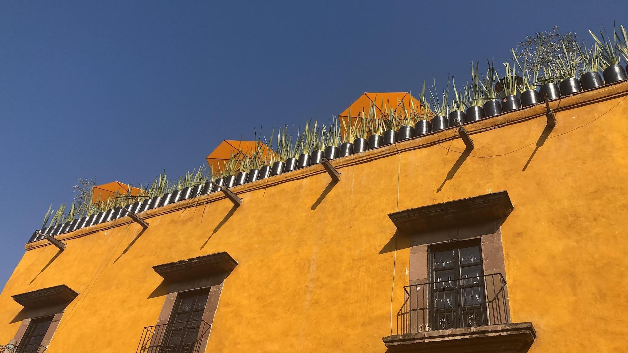 Vista Exterior Villa Limon Hotel Boutique