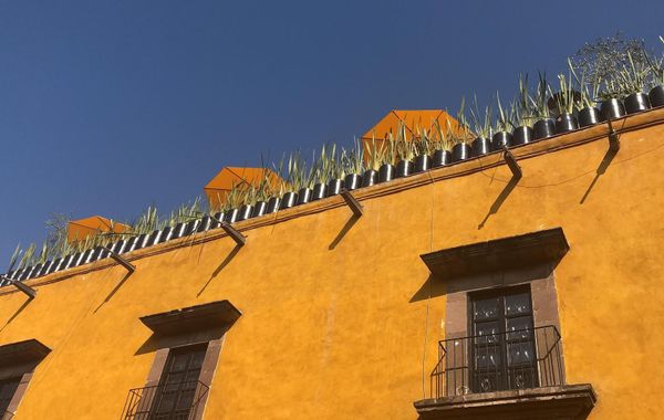 Villa Limon Hotel Boutique - Los mejores hoteles solo adultos en San Miguel de Allende, Guanajuato
