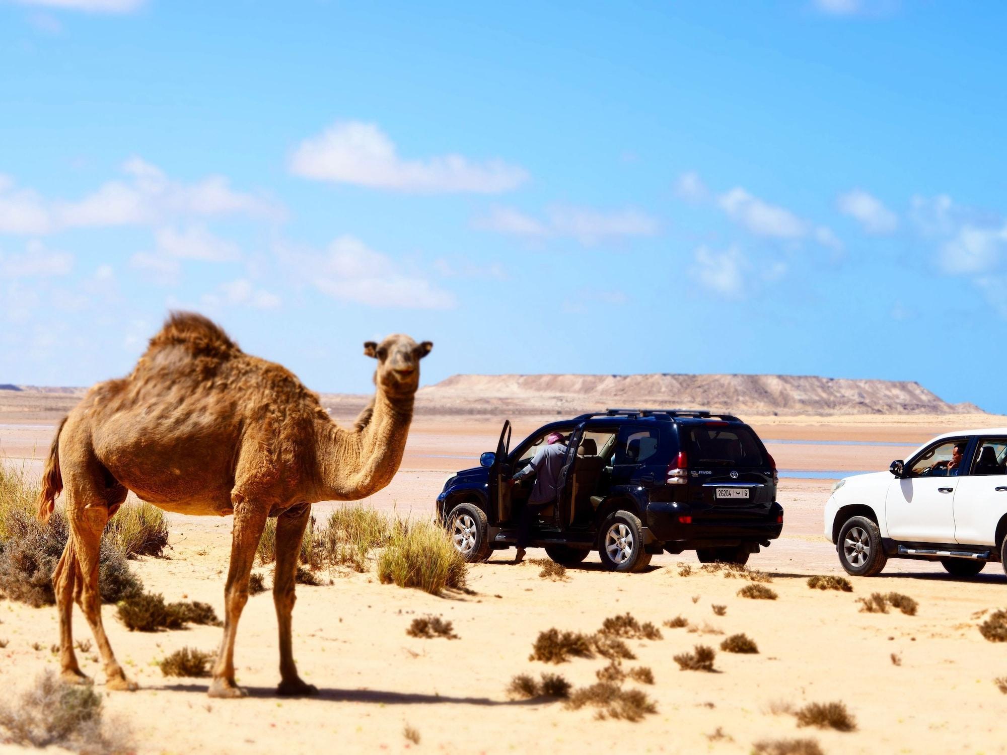 Instalaciones Recreativas Dakhla Camp