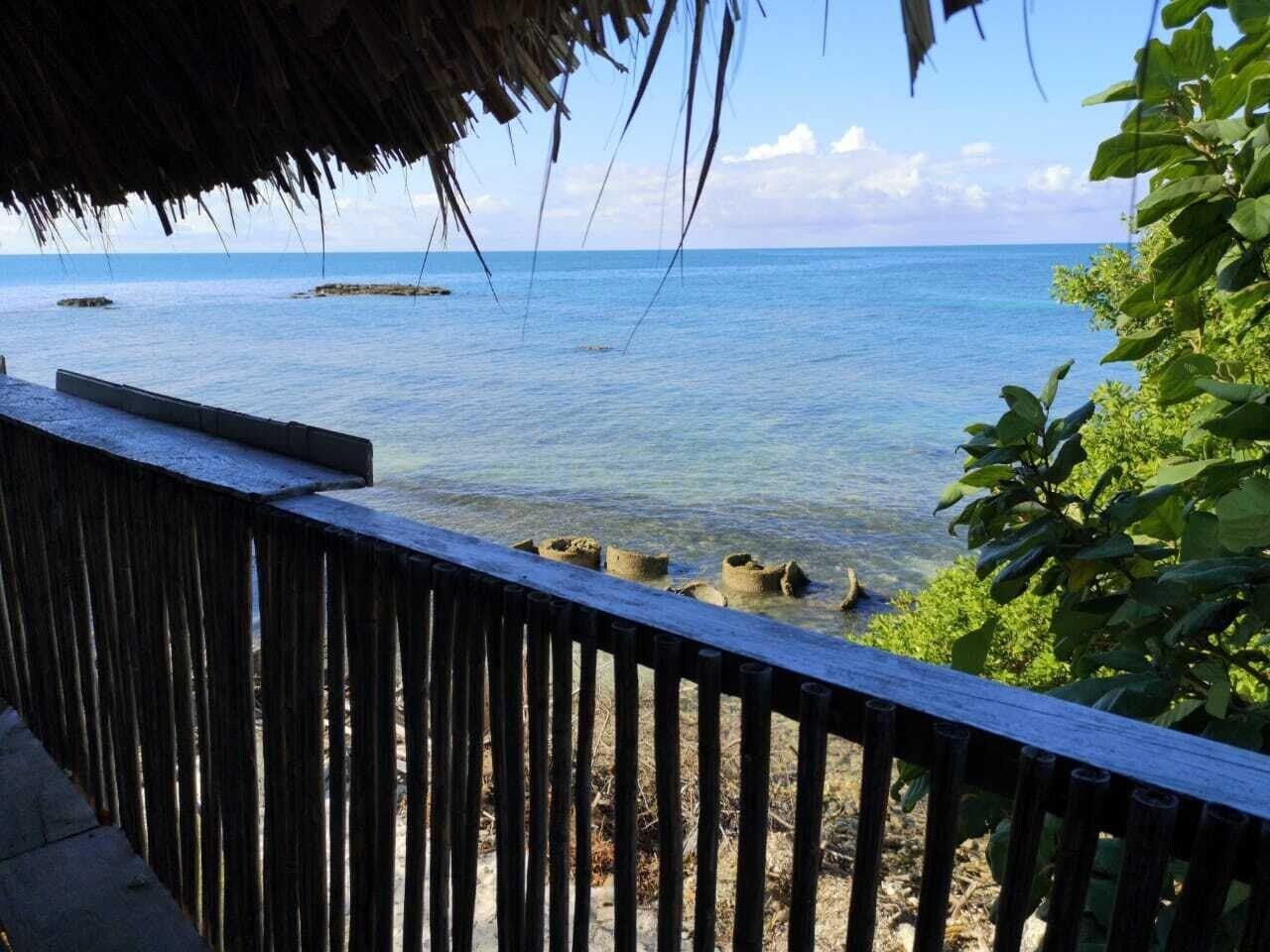 Habitación Dahlandia