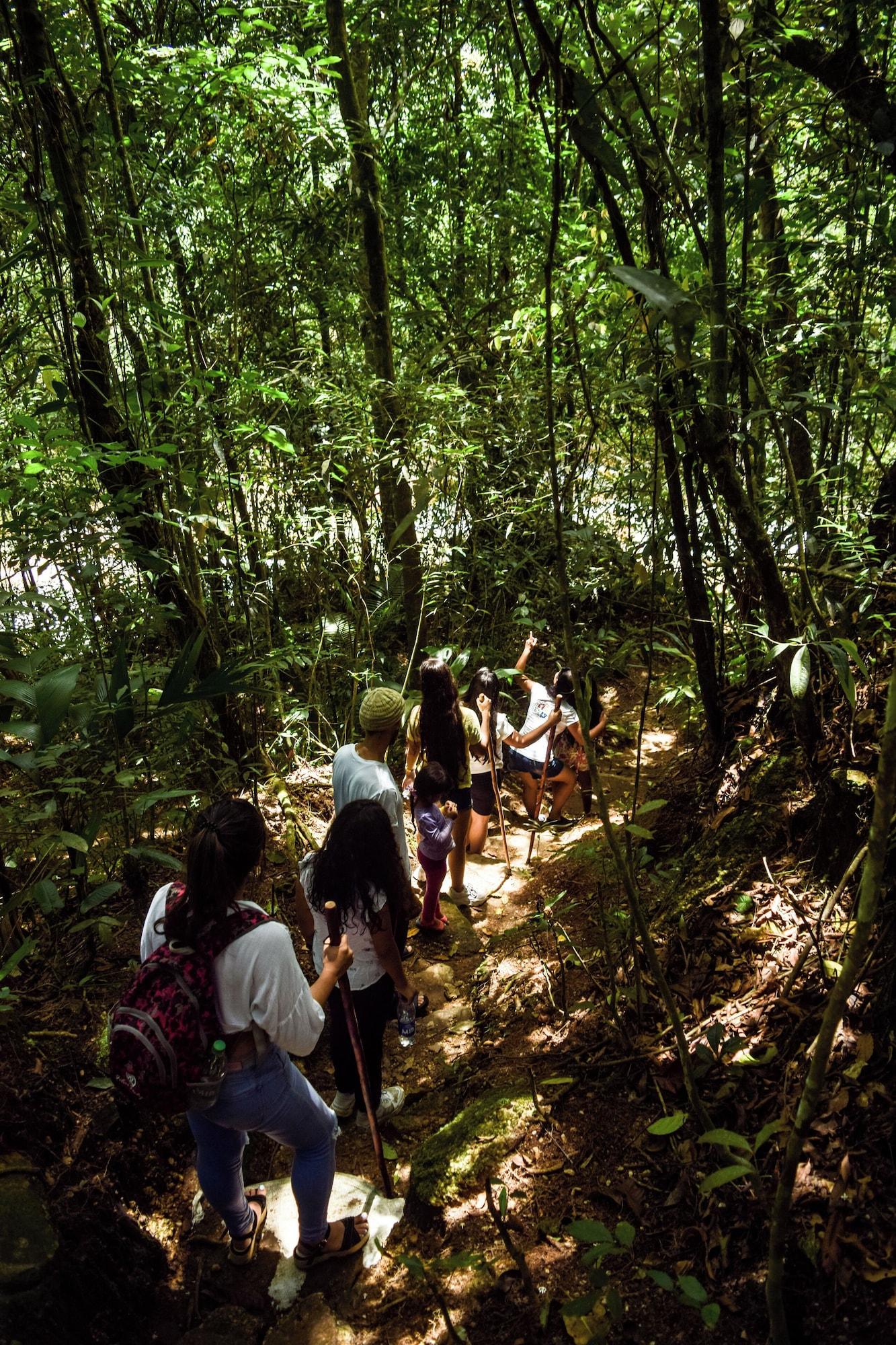 Vista Exterior BOSQUE EL DESCANSO