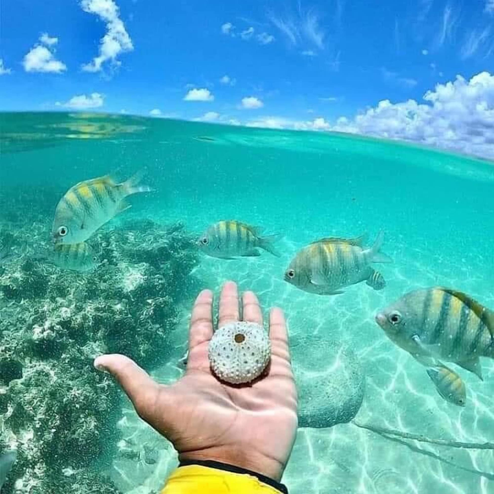 Playa Pousada Bangalôs Do Pontal