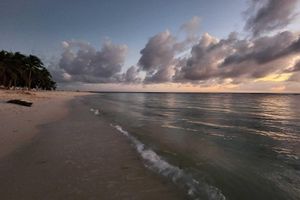 Alojamiento - Saona Lodge