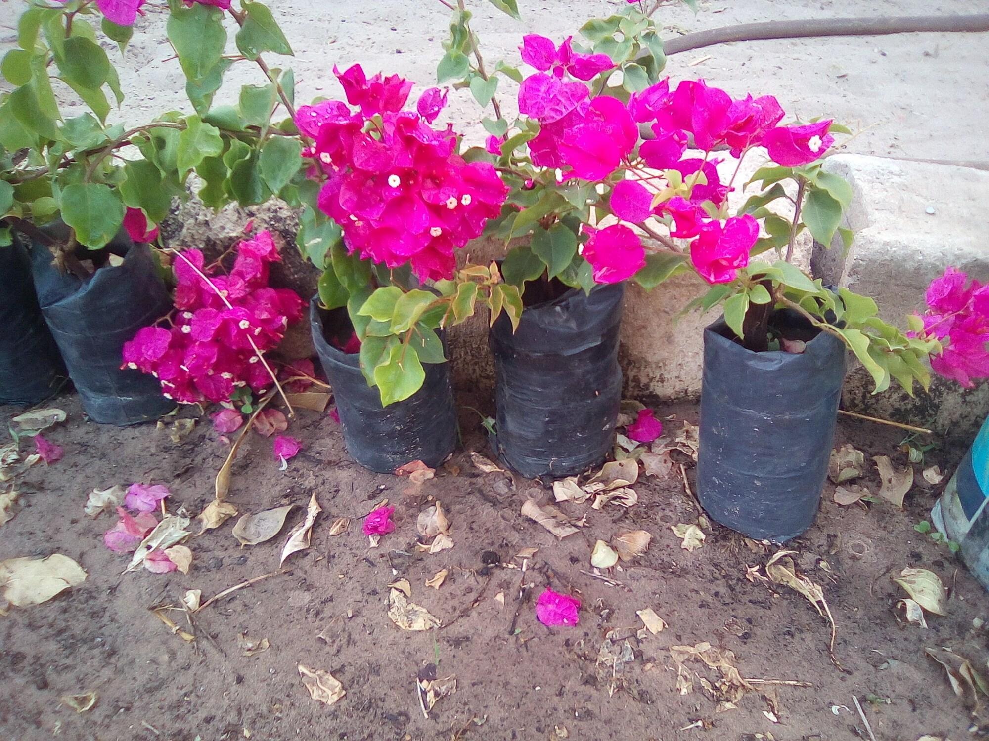 Comodidades del Alojamiento Nanaay