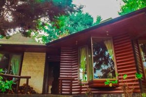 Alquiler Vacacional - Cabañas el Dorado Pucón