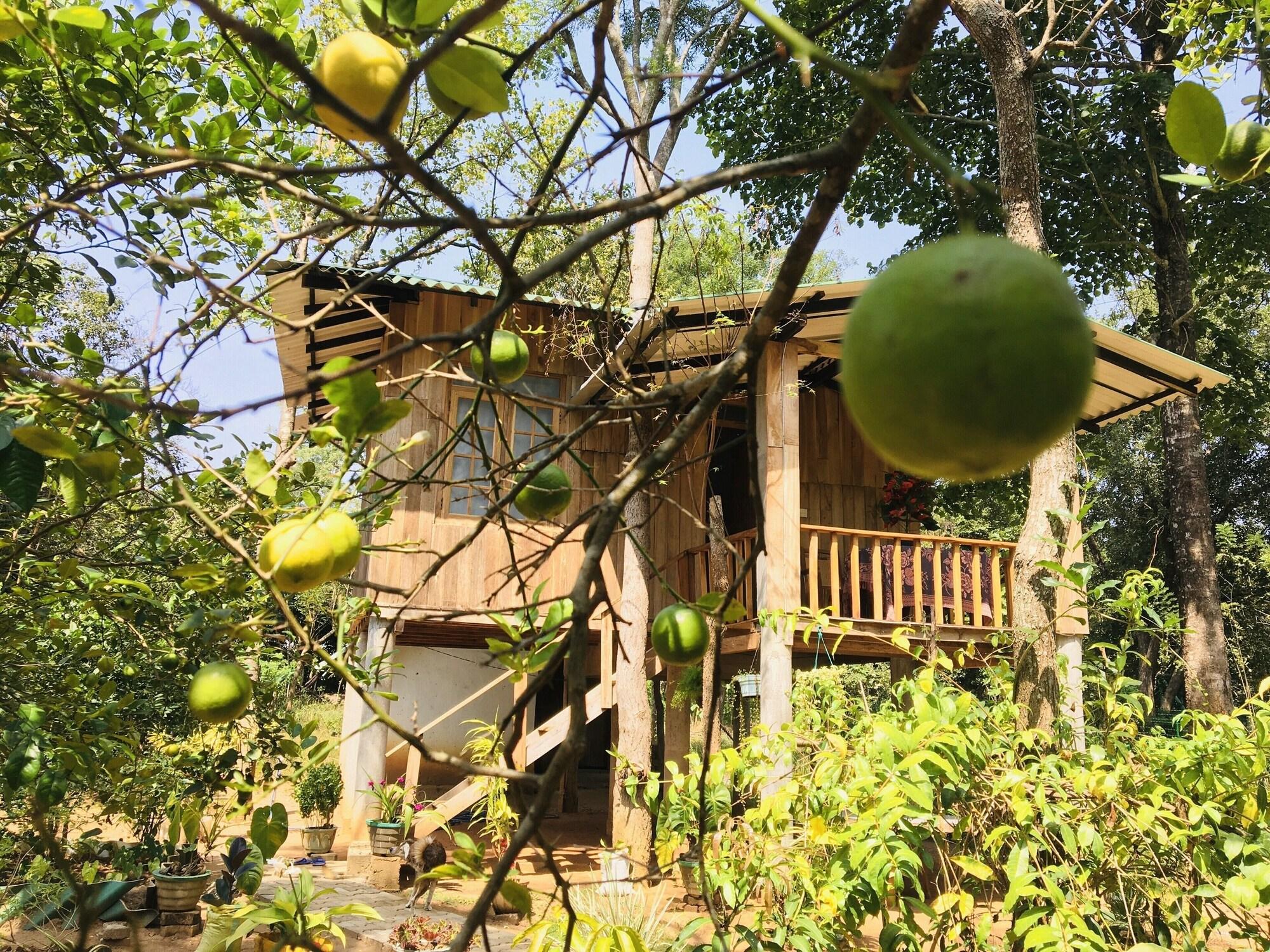 Comodidades del Alojamiento Ruk Sewana Villa