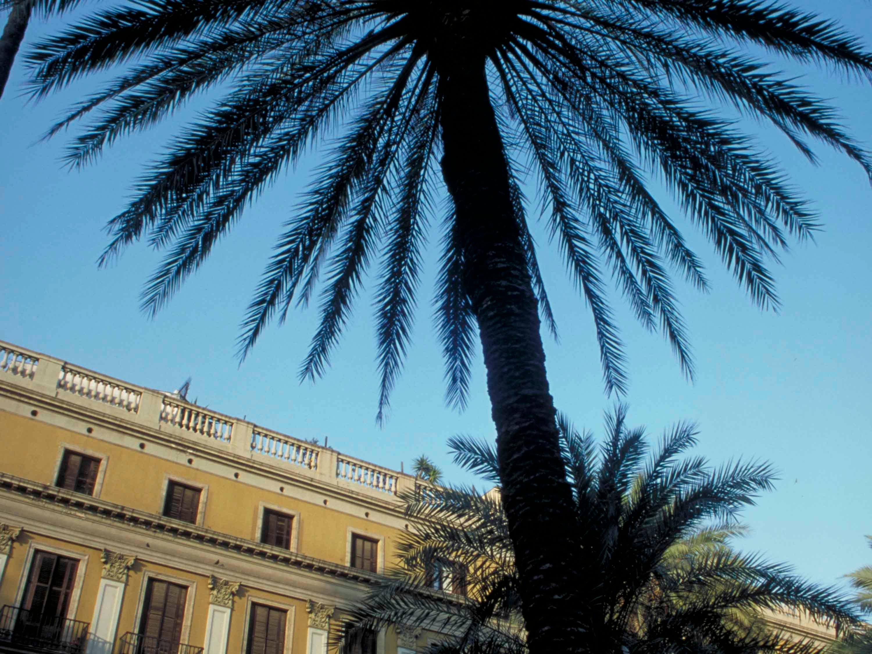 Vista Exterior ibis Barcelona Molins de Rei