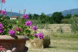 Alojamiento - Agriturismo la Torricella