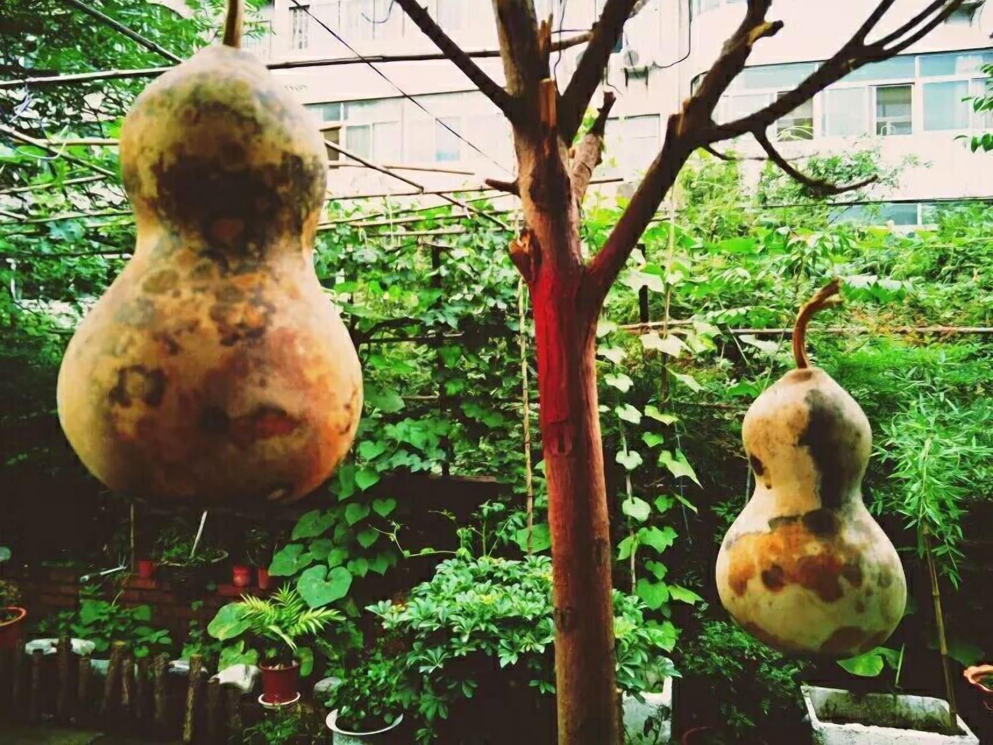 Vista Exterior Xi'an The Facebook Youth Hostel