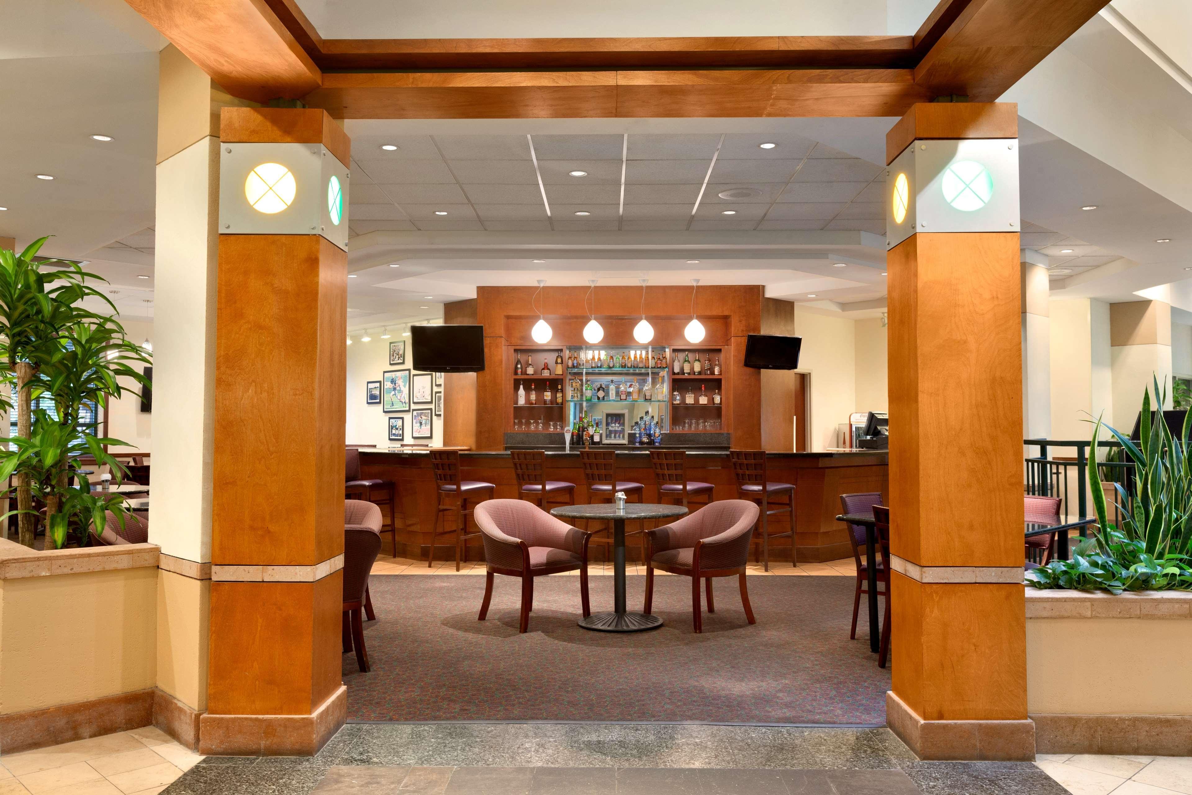 Bar/lounge Embassy Suites by Hilton Tampa USF Near Busch Gardens