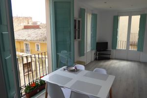 Alquiler Vacacional - Supercéntrico apartment, bright and pedestrian mall