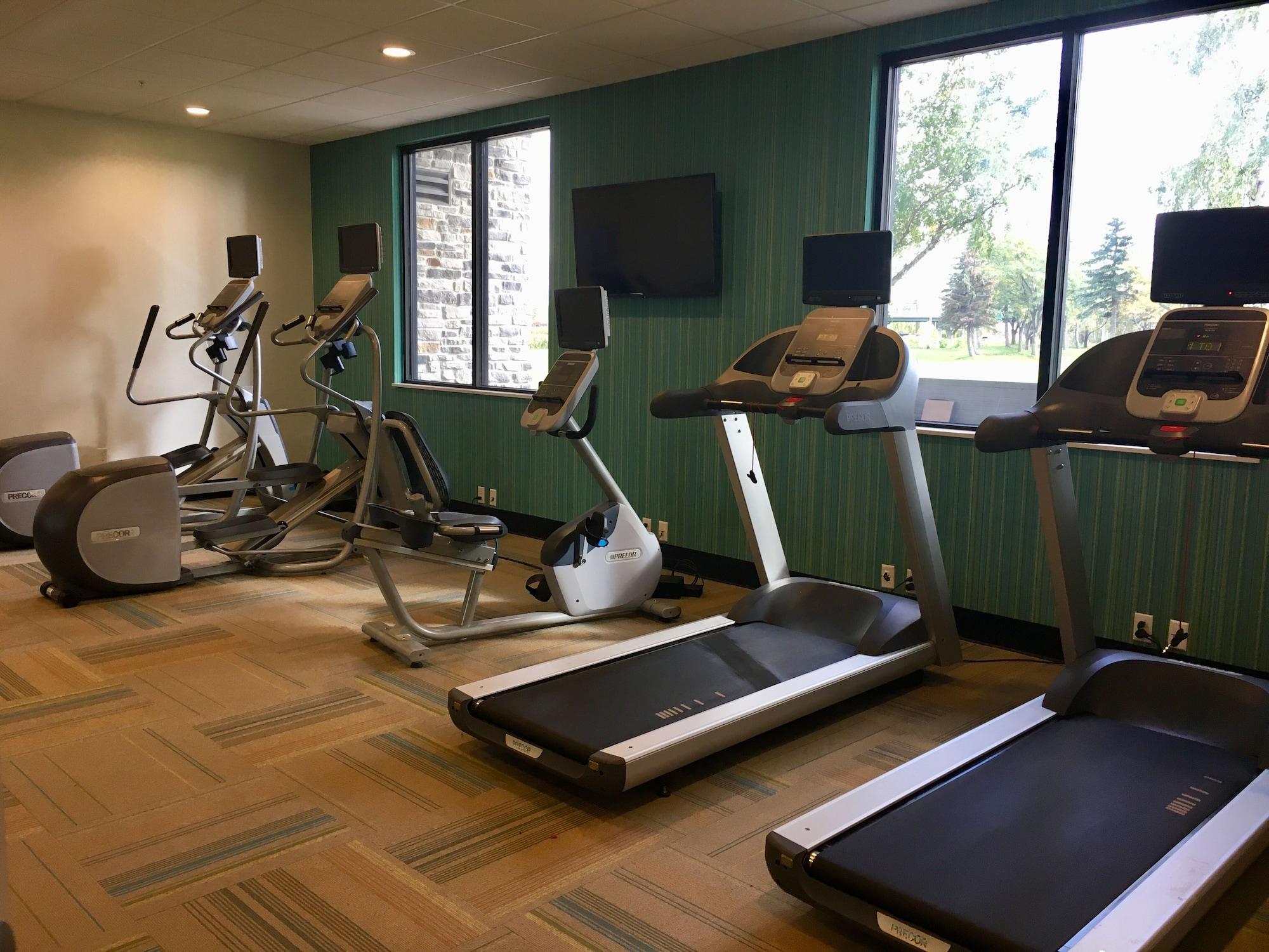 Gimnasio Holiday Inn Express Grand Island - Niagara Falls by IHG