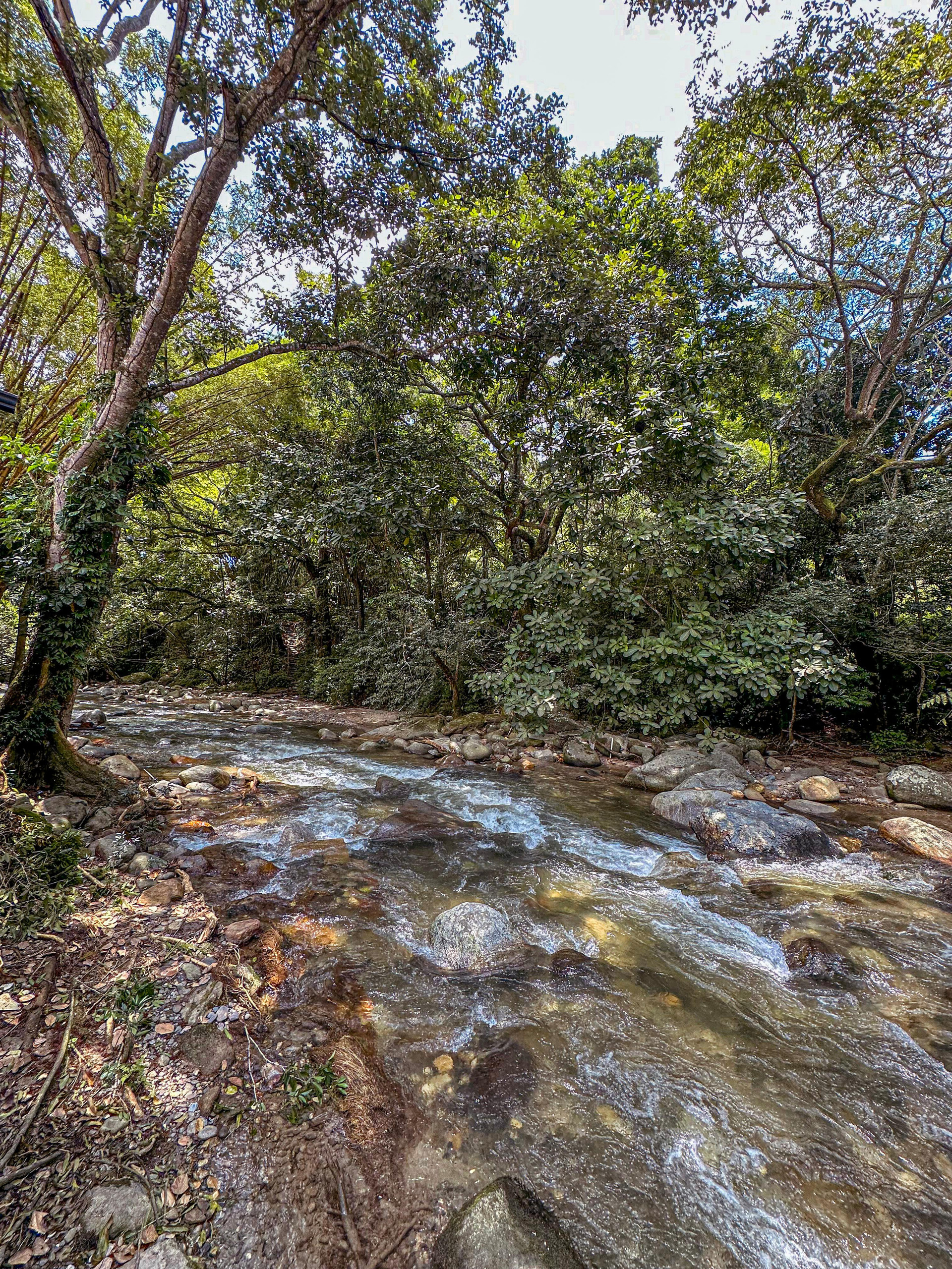 Baño HOTEL CASA DE HADAS