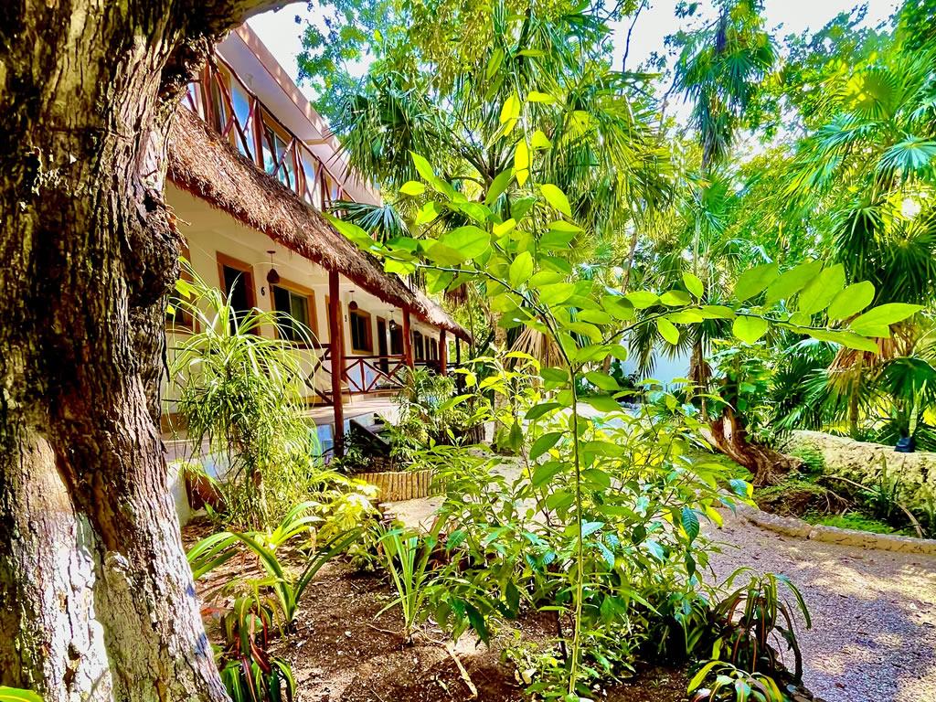 Varios Hotel Tequila Cancun