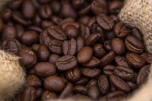 Actividad - Tour del café por Villa Rica