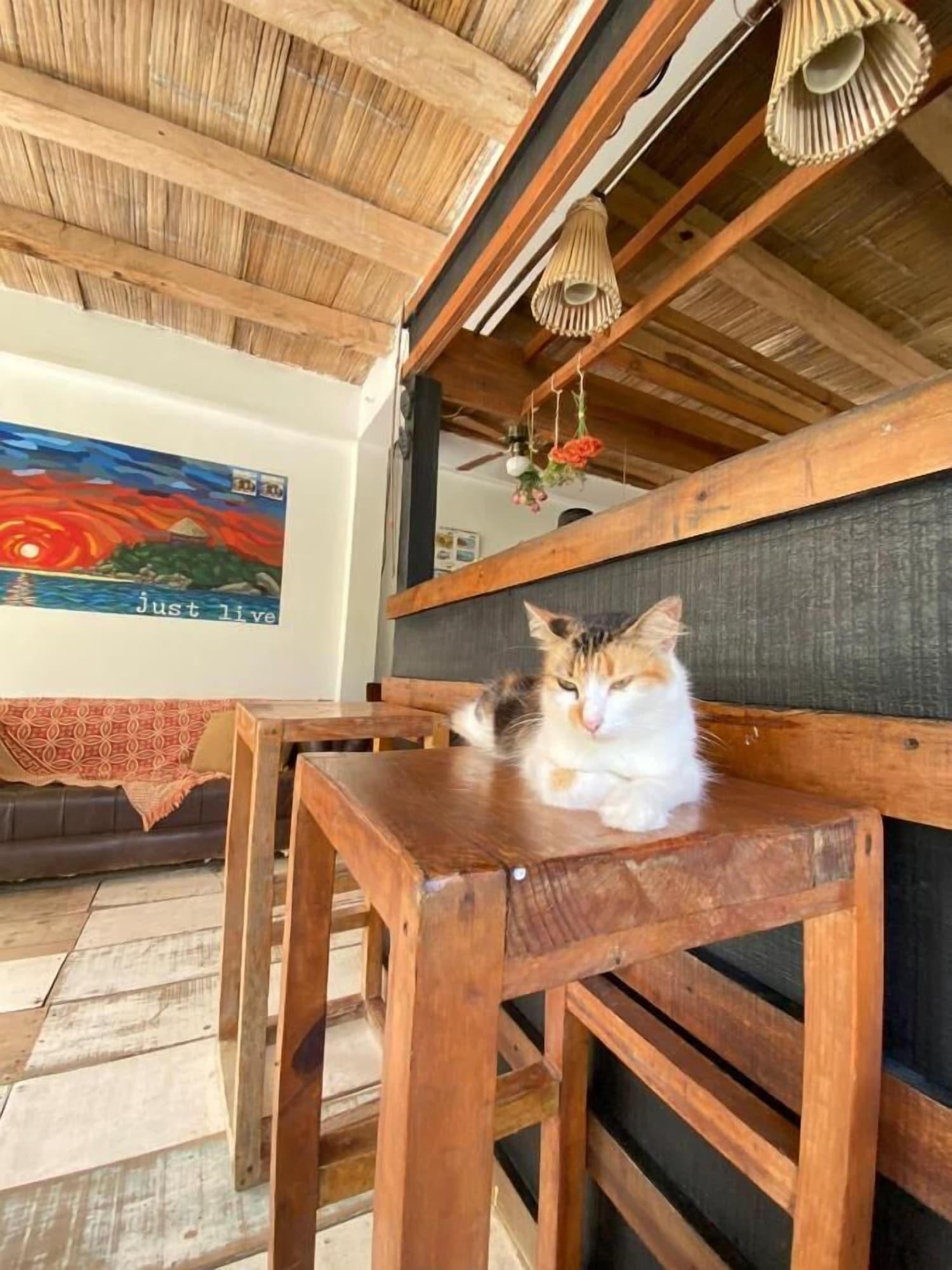 Restaurant Hotel Casa Kai