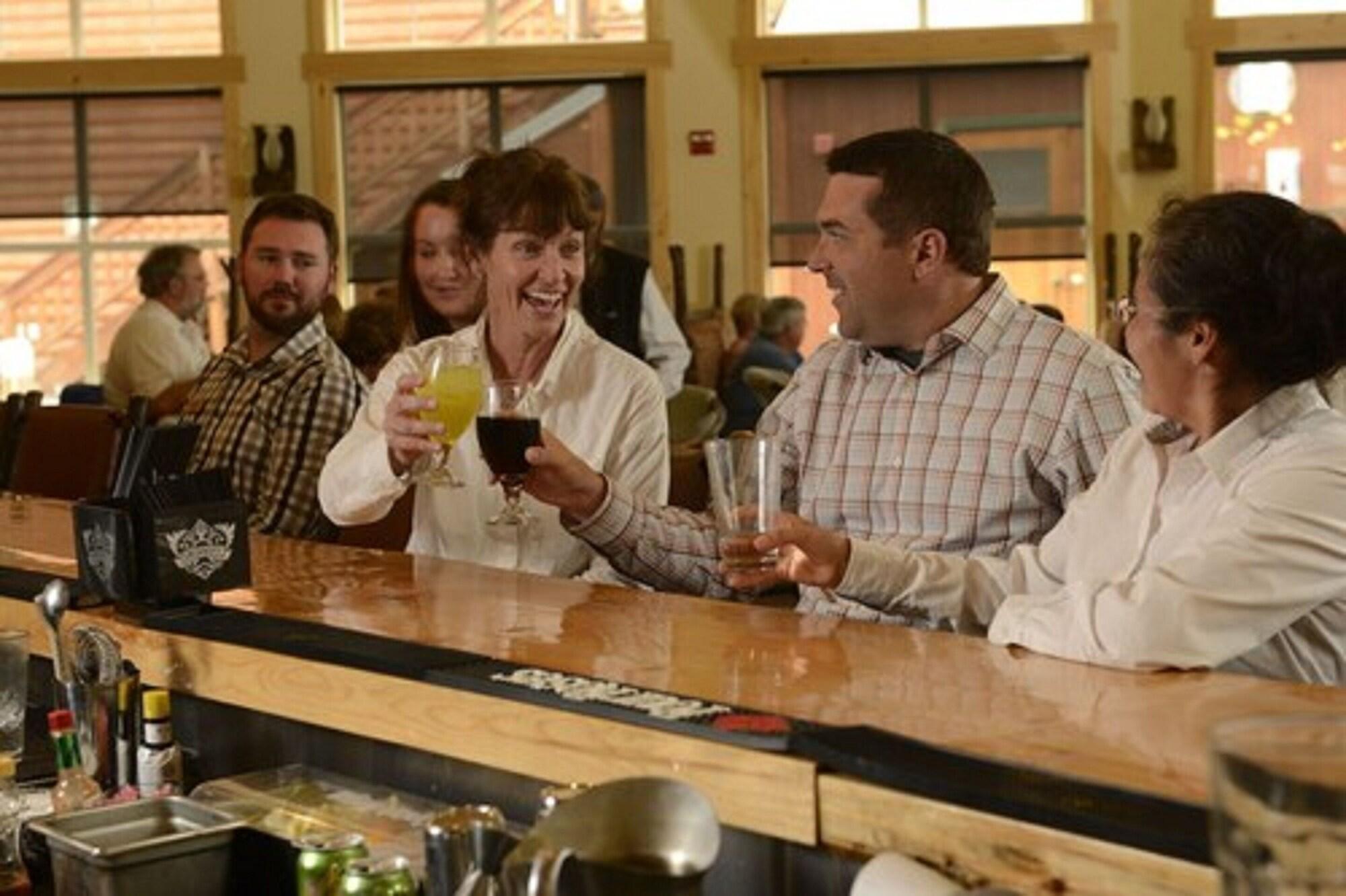 Bar/Salón Denali Park Village