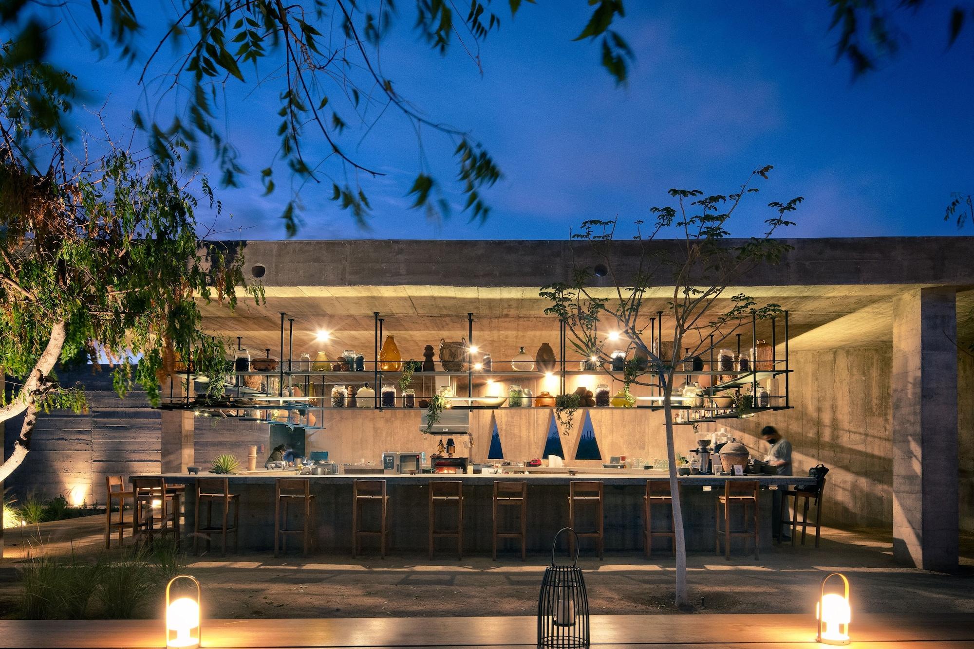 Restaurant Paradero Todos Santos - Exclusive Experiences
