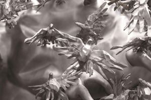 Alojamiento - Shangri-La Toronto