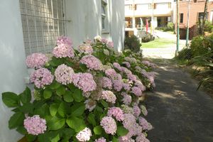 Alojamiento - Hotel Panorama