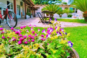 Alojamiento - Garden 437 suites e estudios