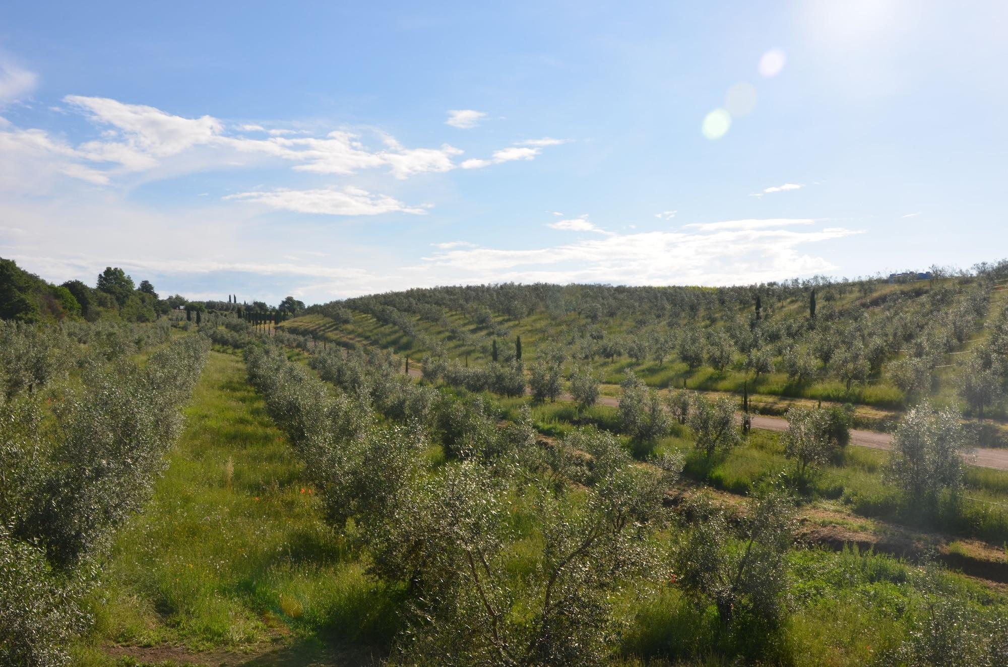 Vista Exterior Il Podere di Marfisa