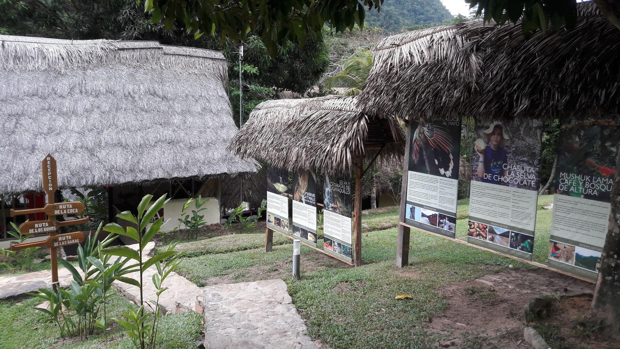 Vista Lobby Pumarinri Amazon Lodge