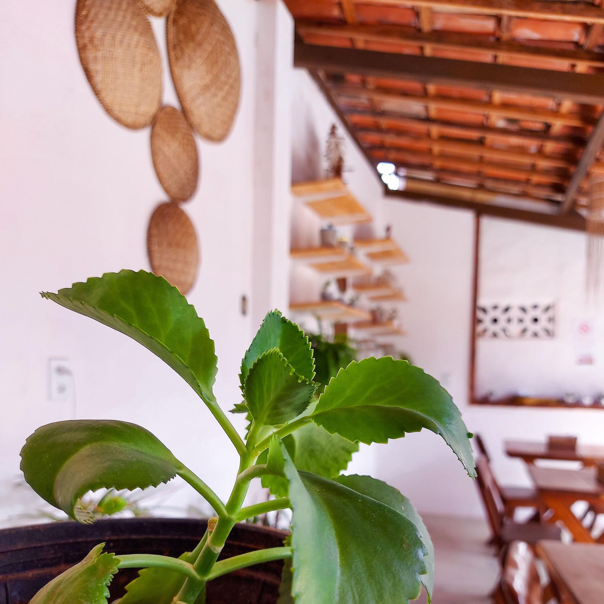Restaurant Pousada do Enildo