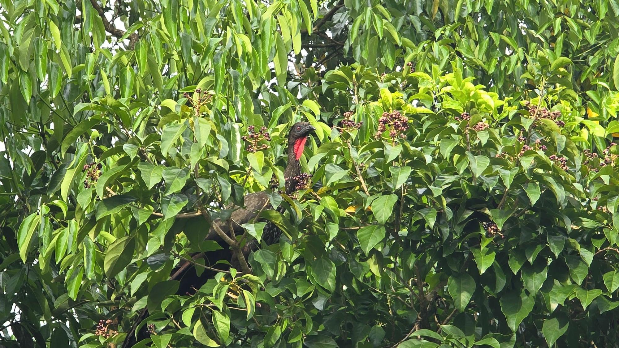 Equipamiento de Habitación Happy Paradise Lodge