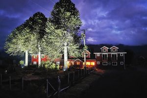 Alojamiento - Hostal Piedra Santa