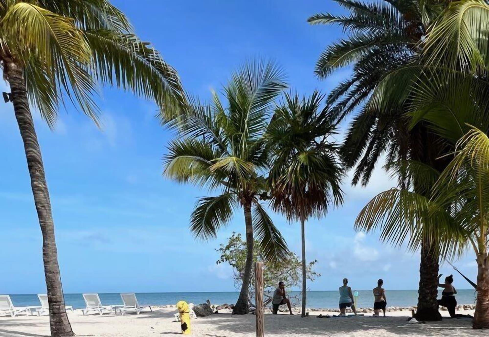 Gimnasio Lime Tree Bay Resort