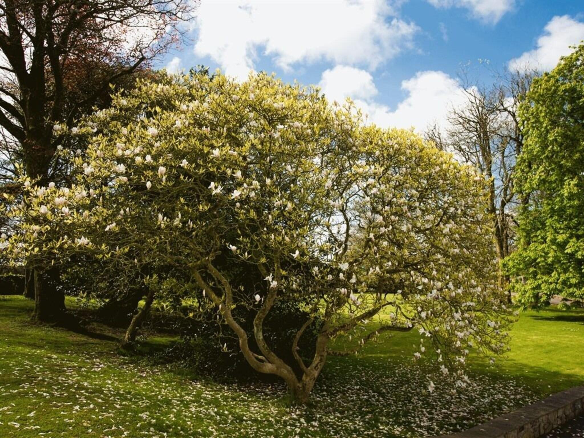 Instalaciones Recreativas Portclew House