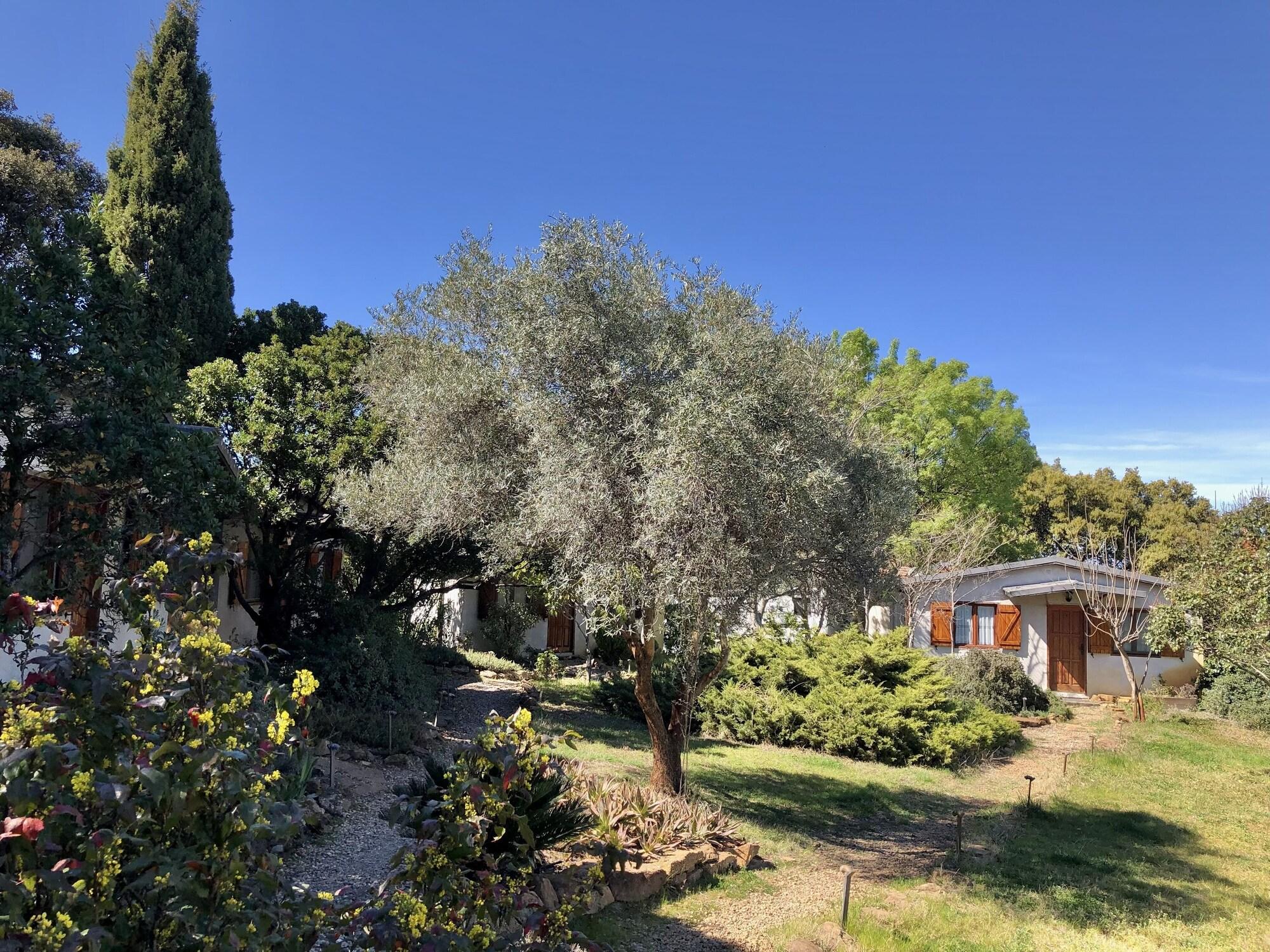 Vista Exterior La Cerca Del Alcornoque