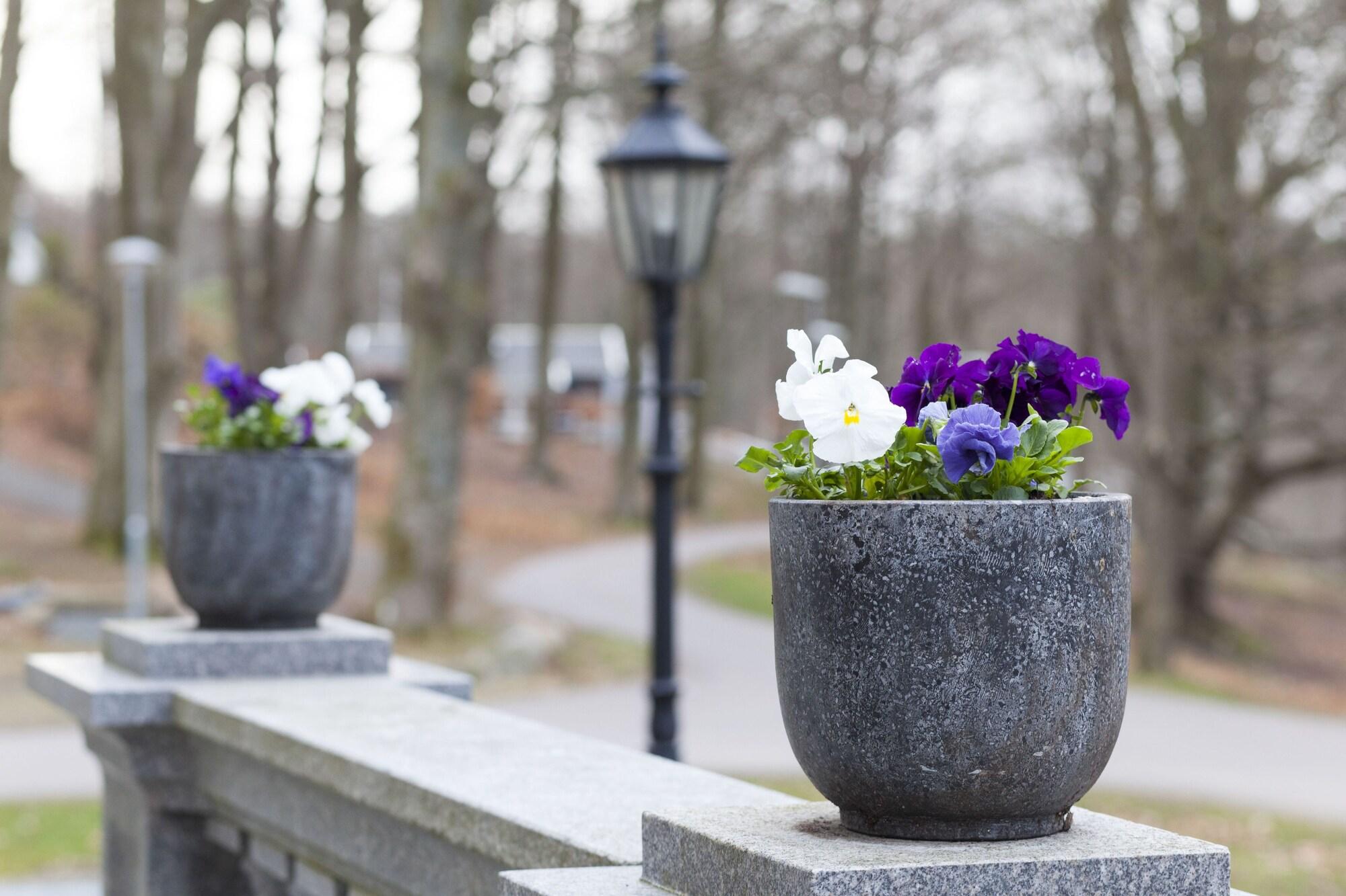 Vista Exterior Wendelsberg STF Hotell