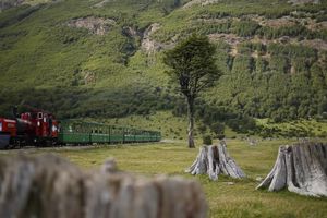 Actividad - Tren del Fin del Mundo
