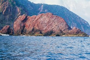 Actividad - Paseo por la Bahía y esnórquel