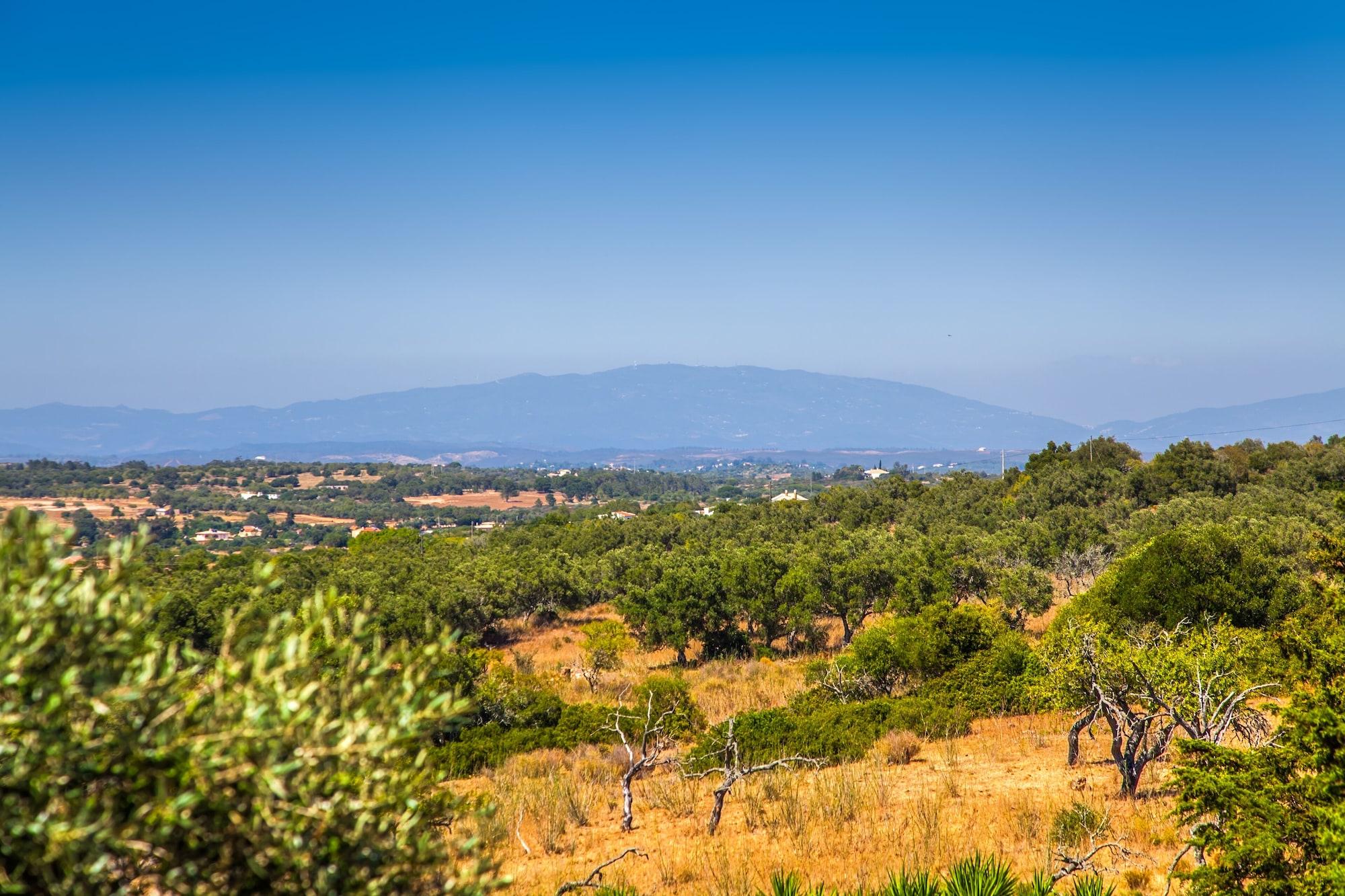 Vista Exterior Montinho de Ouro