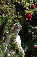 Alojamiento - Hôtel Jardins Secrets